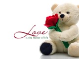 cute-teddy-bear-love-you-with-flowers-hd-wallpapers.jpg