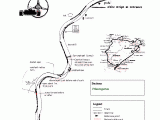 nurb8.gif