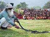 Sadhguru-Man-Snake-21.jpg