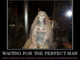 waiting-for-the-perfect-man-perfect-bride-deserving-best-demotivational-posters.jpg