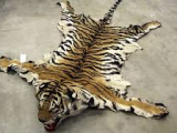 tiger carpet.png