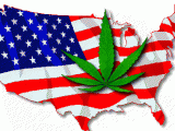 america-weed.gif