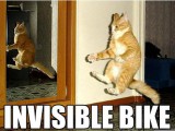 invisible bike.JPG