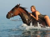 Swimming-with-horses.jpg