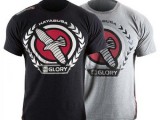 hayabusa-hayabusa-glory-kickboxing-t-shirt-grey.jpg