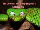 Snake--130707.jpg