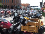 Sturgis02.jpg