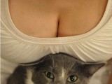 cleavage-cat-lucky-boobs-981324.jpeg