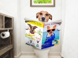 depositphotos_123484336-stock-photo-dog-on-toilet-seat-reading.jpg