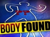 body+found.jpg