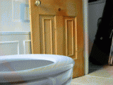 Toiletdiver3.gif