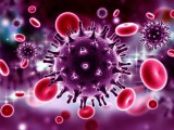 Hiv virus.jpg