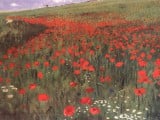 poppies 1896 National Gallery.jpg