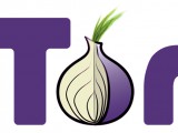 Tor.jpg