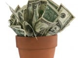 money_in_flower_pot.jpg