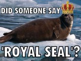 outcast-04-seal-meme-wtf-watch-the-film-saint-pauly.jpg