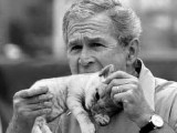 George bush eats a kitten.jpg