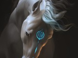 Magical_animals_Horses_523620_806x1024.jpg