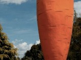 giant-carrot3.jpg