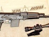 Saiga1.jpg