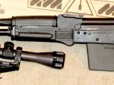 Saiga2.jpg