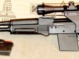 Saiga4.jpg