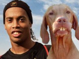 ronaldinhio - dog.jpg