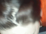 tumblr_p7ug9f6ANT1rml6dxo1_250.gif