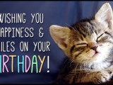 17522-birthday-smiles-cat-kitten.jpg