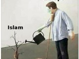 Islam+in+europe+islam+in+europe_88be47_5925331.jpg