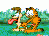 Garfield.gif