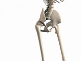 skeleton-2504344_960_720.jpg