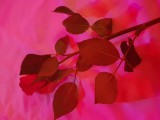 20181212_164353.jpg