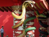 chinese-new-year-2013-year-snake.jpg