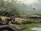 Worlds-Largest-Snake-Colombian-jungle-631.jpg