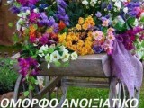 IMG-1e350701661a7ebd91241289fd7a341f-V.jpg