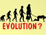 000 evolution1.jpg