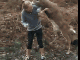 buck-trying-to-mate-a-young-girl.gif