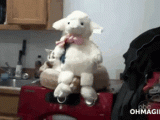 funny-wth-toy-movement.gif