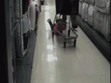 free-shopping-cart-ride.gif