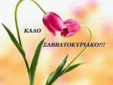 20190518_093247.jpg