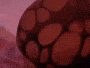 20190522_223406.gif