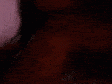 20190522_230302.gif