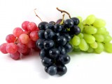 271156-grapes1.jpg