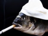 smoking-fish-11296061.jpg