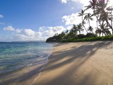 54aab8aa672c13a9488d0645_mokuleia-beach-oahu-hawaii.jpg