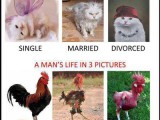 funny-pictures-woman-man-married-divorce-single-images-photos.jpg