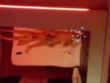 20190925_191456.gif