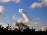 o-PENIS-CLOUD-570.jpg