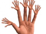 hands.jpg